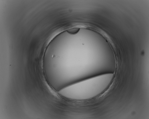 X0000093411194200710120910