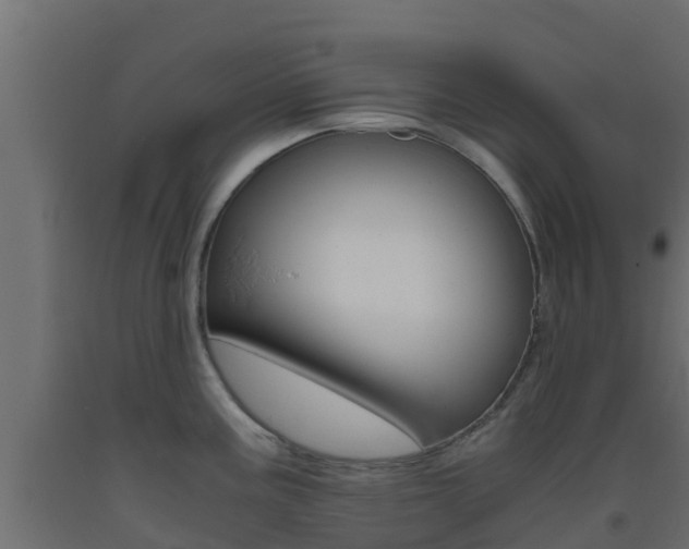 X0000093411195200710120910