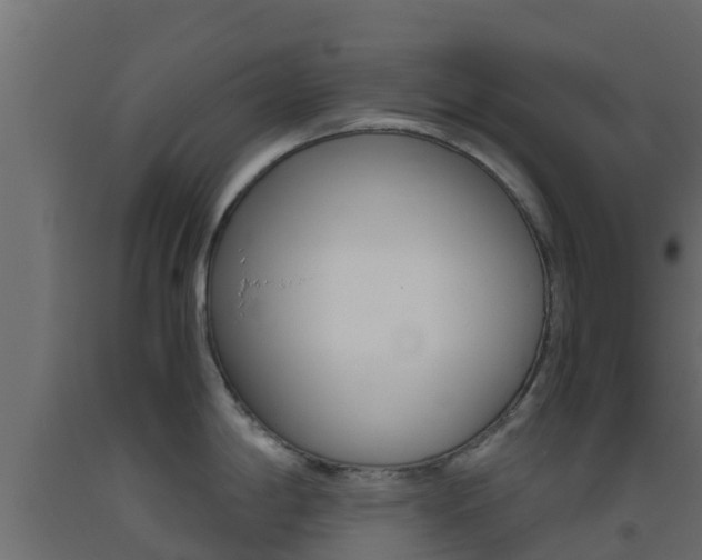 X0000093411198200710120910
