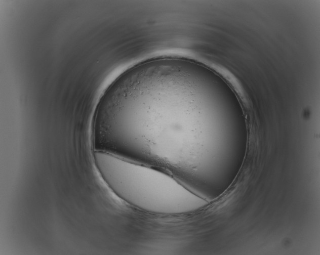 X0000093411199200710120910