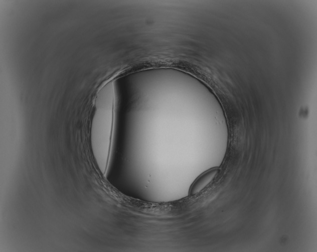 X0000093411201200710120909