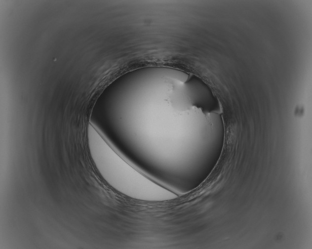 X0000093411202200710120909