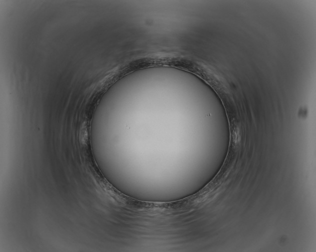 X0000093411204200710120909