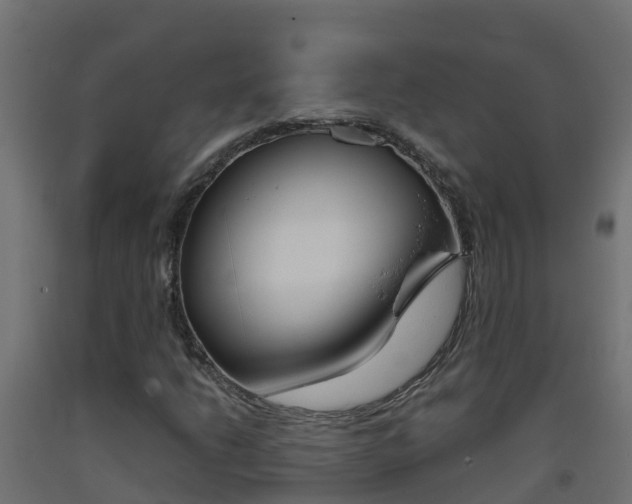 X0000093411206200710120909