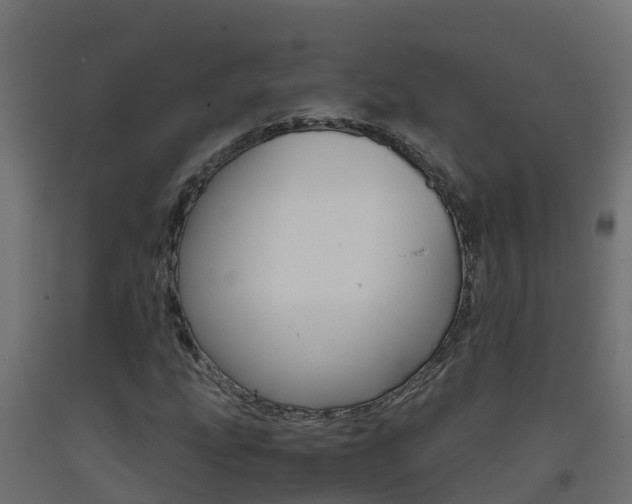 X0000093411207200710120909