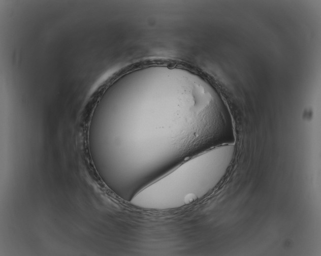 X0000093411208200710120909