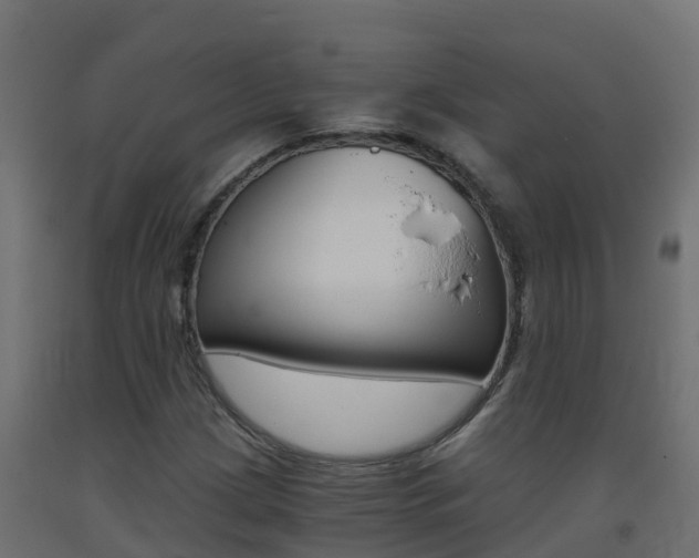 X0000093411209200710120909
