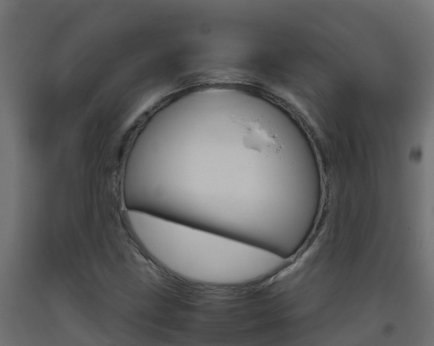X0000093411211200710120909