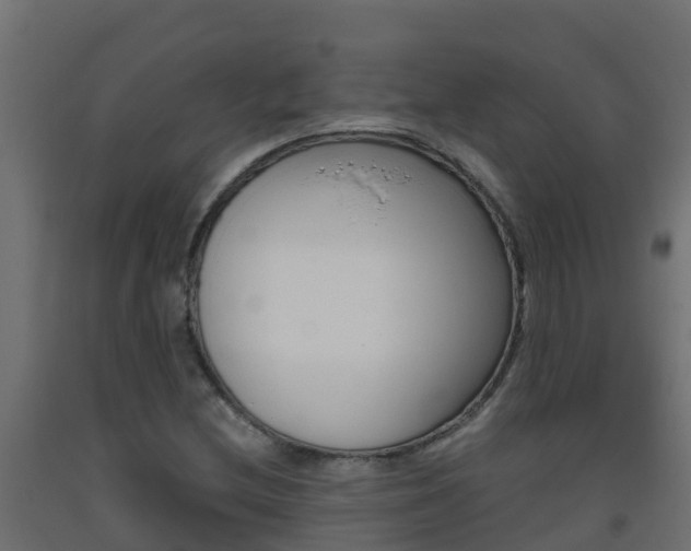 X0000093411212200710120909