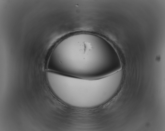 X0000093411214200710120909