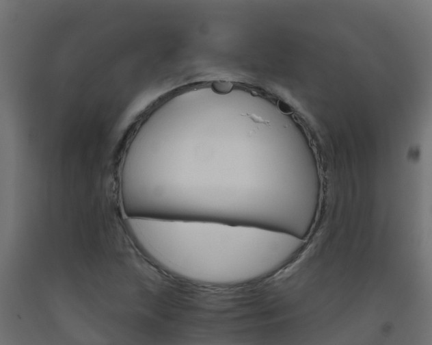 X0000093411215200710120909