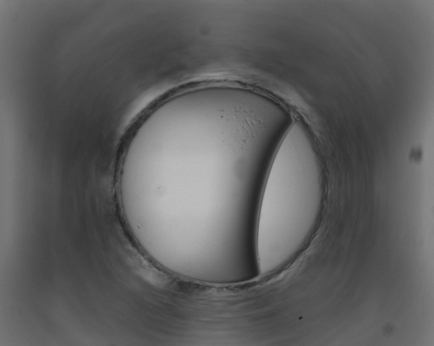 X0000093411216200710120909