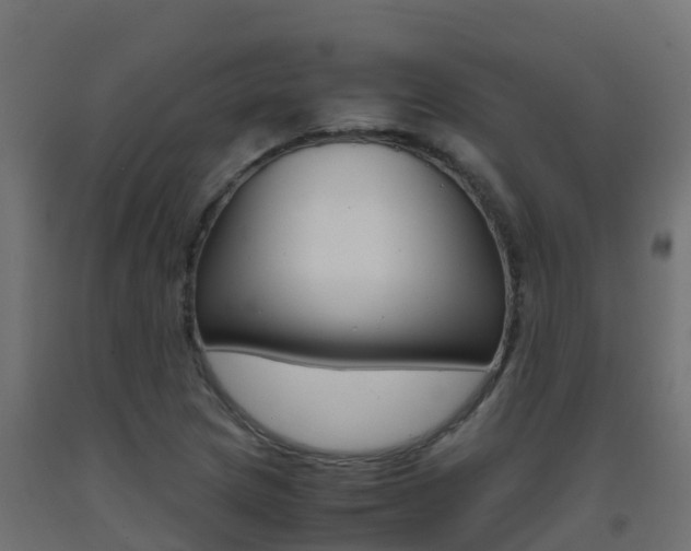 X0000093411217200710120909