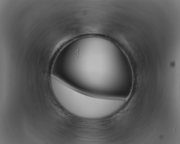 X0000093411218200710120909