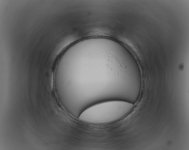 X0000093411219200710120909