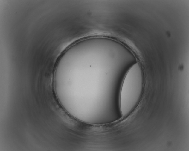 X0000093411220200710120909