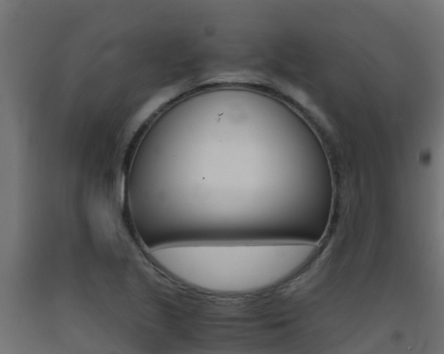 X0000093411221200710120909