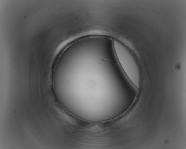 X0000093411222200710120909