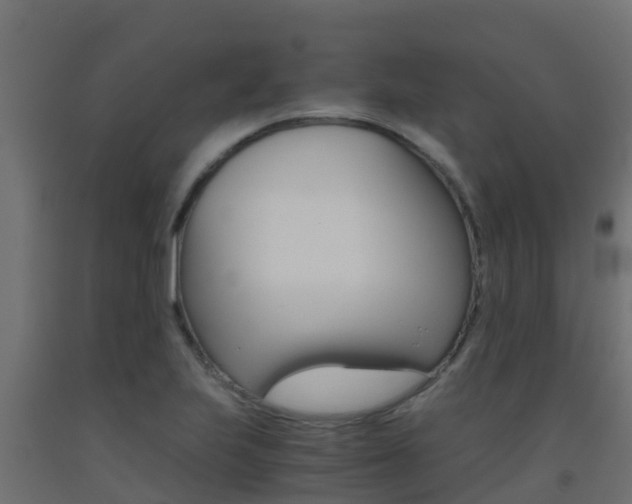 X0000093411223200710120909