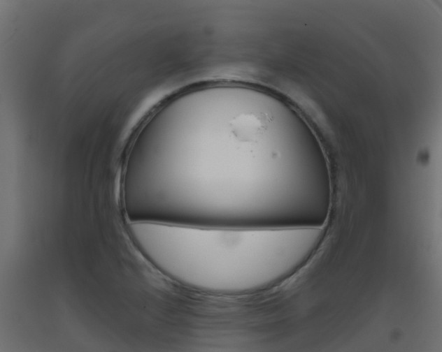 X0000093411224200710120909