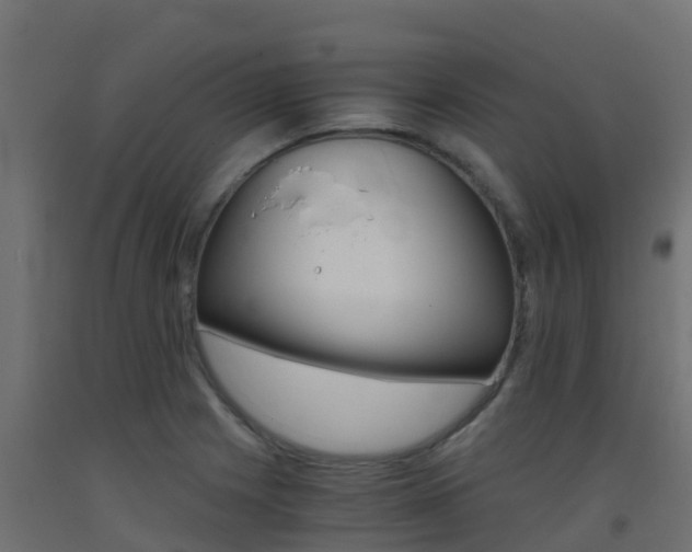 X0000093411225200710120909