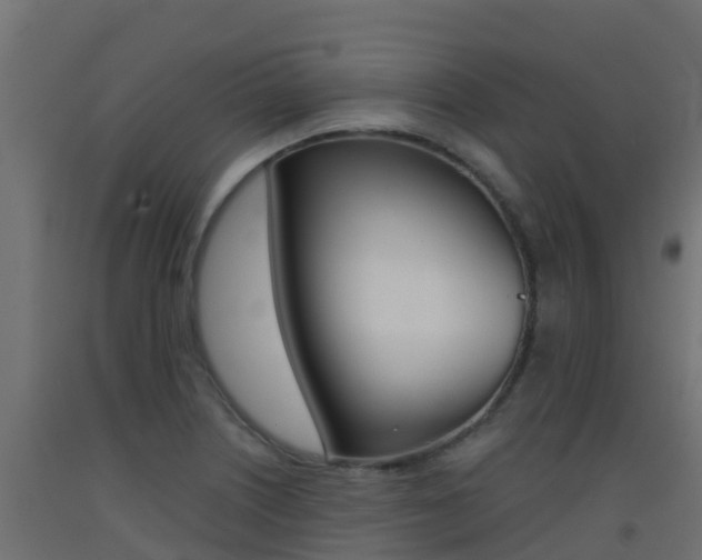 X0000093411226200710120909