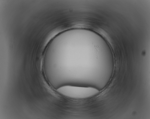 X0000093411227200710120909