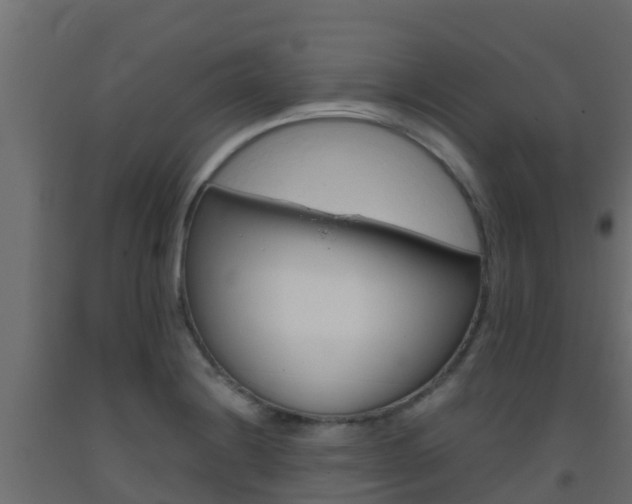 X0000093411228200710120909