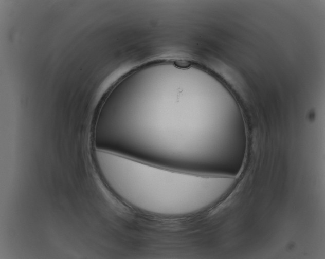 X0000093411229200710120909