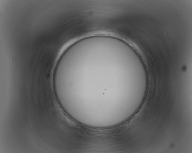 X0000093411230200710120909