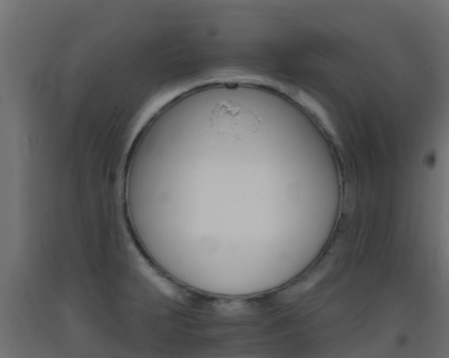 X0000093411231200710120909
