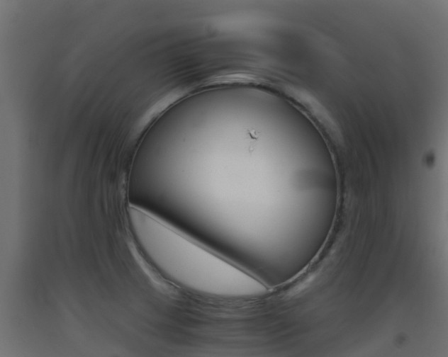 X0000093411233200710120909