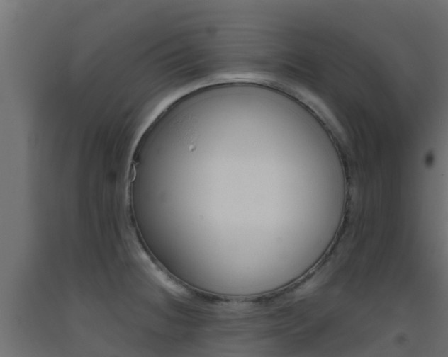 X0000093411236200710120909