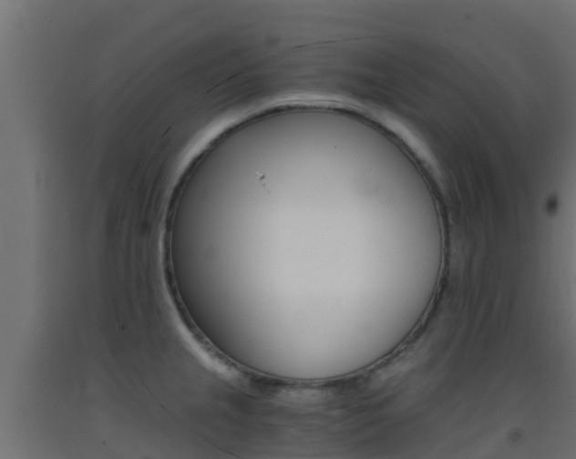 X0000093411237200710120909