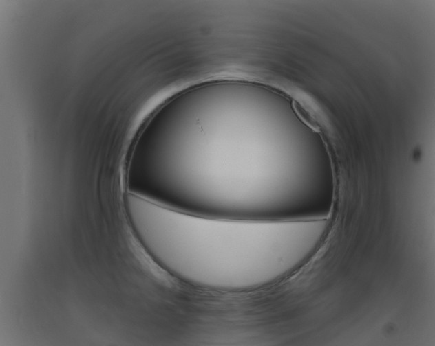 X0000093411238200710120909