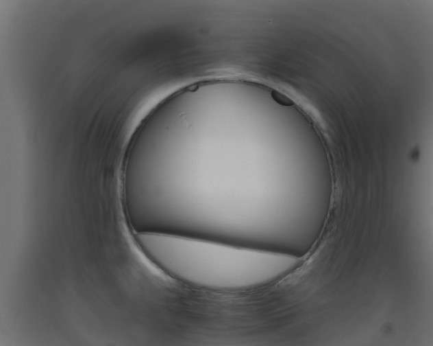 X0000093411239200710120909