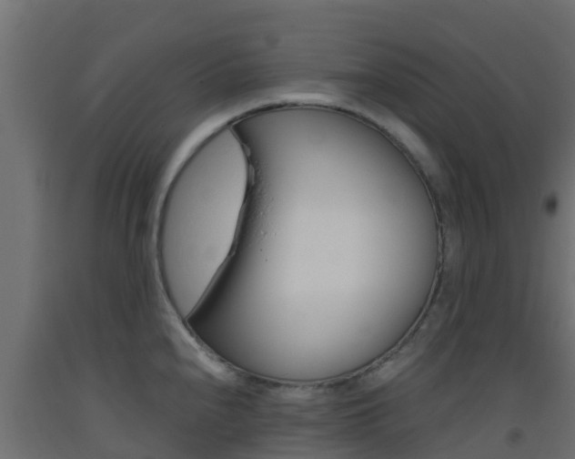 X0000093411240200710120909