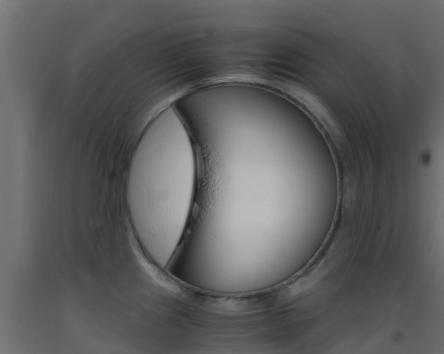 X0000093411241200710120909