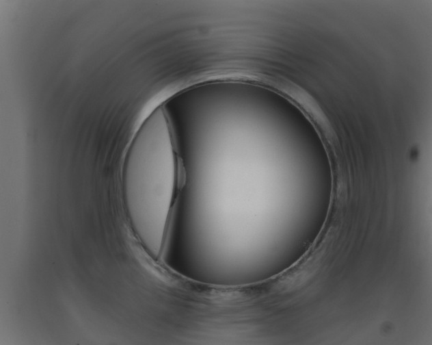 X0000093411242200710120909