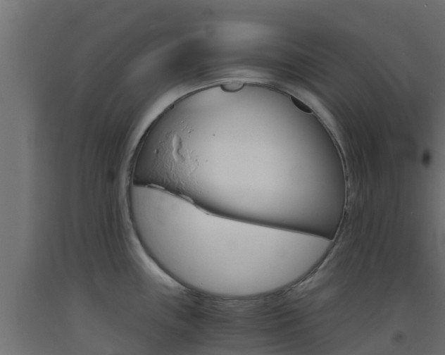X0000093411243200710120909