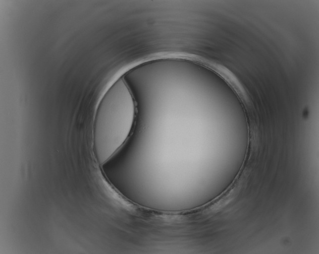 X0000093411244200710120909