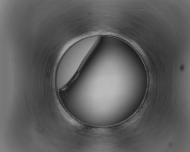 X0000093411246200710120909