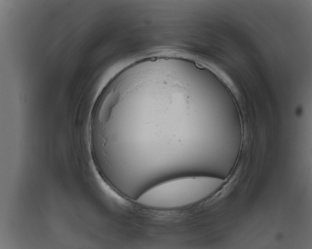 X0000093411247200710120909