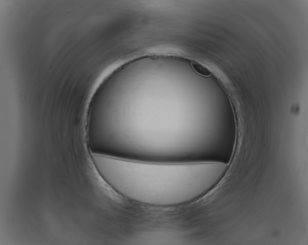 X0000093411248200710120909
