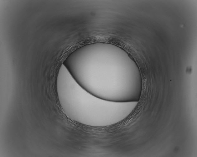 X0000093411249200710120909