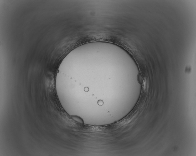 X0000093411251200710120909