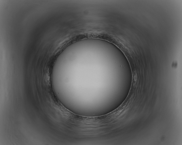 X0000093411252200710120909