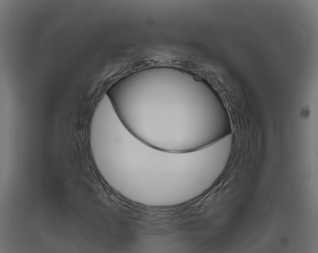 X0000093411253200710120909