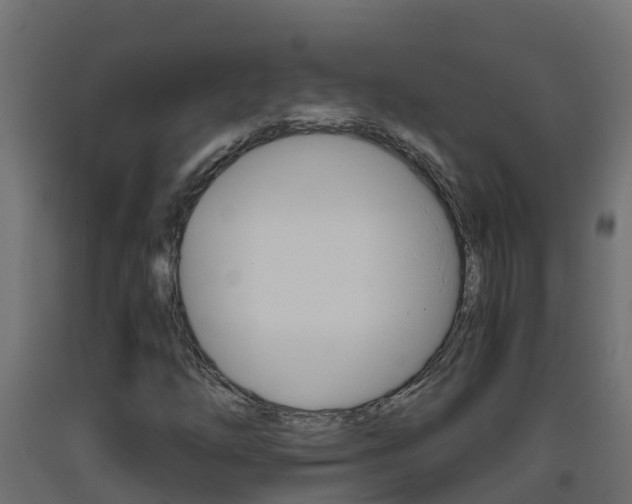 X0000093411254200710120909