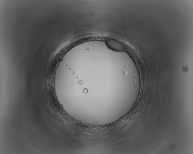 X0000093411255200710120909
